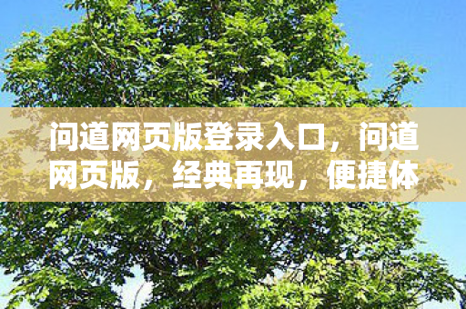 问道网页版登录入口图片