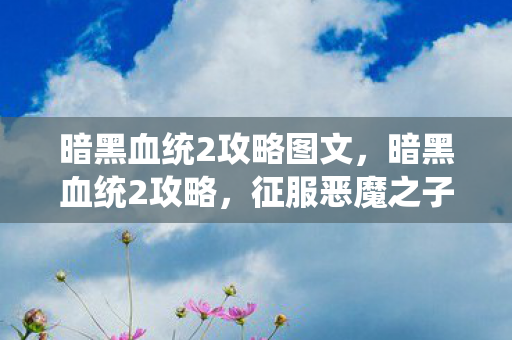 暗黑血统2攻略图文，暗黑血统2攻略，征服恶魔之子的挑战