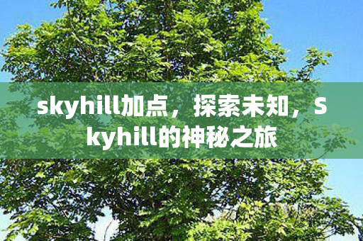 skyhill加点，探索未知，Skyhill的神秘之旅