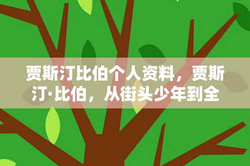 贾斯汀比伯个人资料，贾斯汀·比伯，从街头少年到全球巨星的蜕变