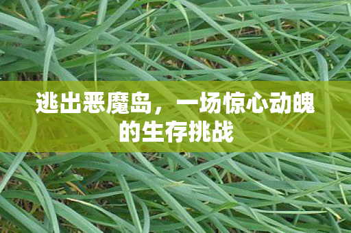 逃出恶魔岛，一场惊心动魄的生存挑战
