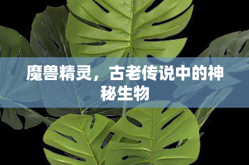 魔兽精灵，古老传说中的神秘生物
