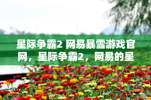 星际争霸2 网易暴雪游戏官网，星际争霸2，网易的星际争霸2之路