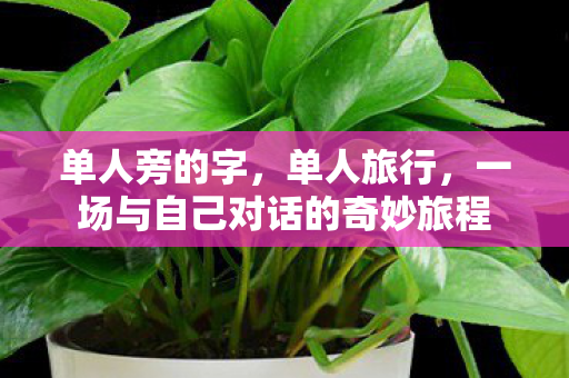 单人旁的字，单人旅行，一场与自己对话的奇妙旅程
