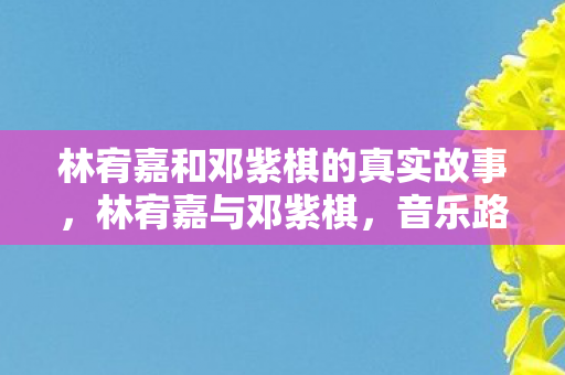 林宥嘉和邓紫棋的真实故事，林宥嘉与邓紫棋，音乐路上的不期而遇