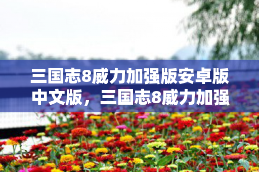 三国志8威力加强版安卓版中文版，三国志8威力加强版下载全攻略