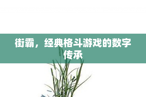 街霸，经典格斗游戏的数字传承
