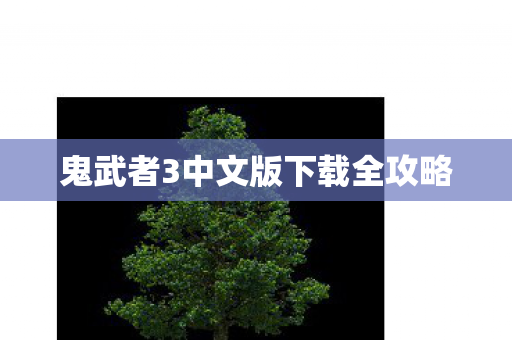 鬼武者3中文版下载全攻略