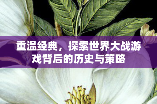 重温经典，探索世界大战游戏背后的历史与策略