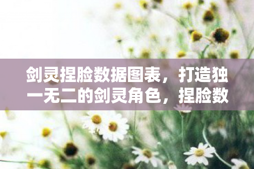 剑灵捏脸数据图表，打造独一无二的剑灵角色，捏脸数据全解析