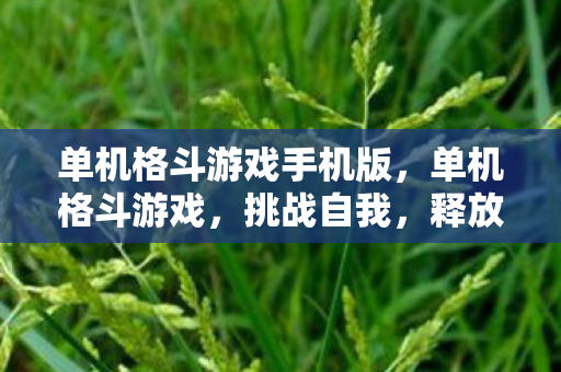 单机格斗游戏手机版，单机格斗游戏，挑战自我，释放压力的绝佳选择