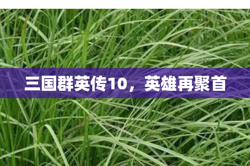 三国群英传10，英雄再聚首