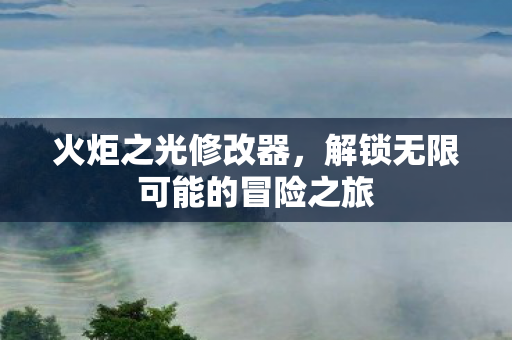 火炬之光修改器，解锁无限可能的冒险之旅