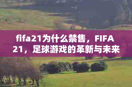 fifa21为什么禁售，FIFA 21，足球游戏的革新与未来