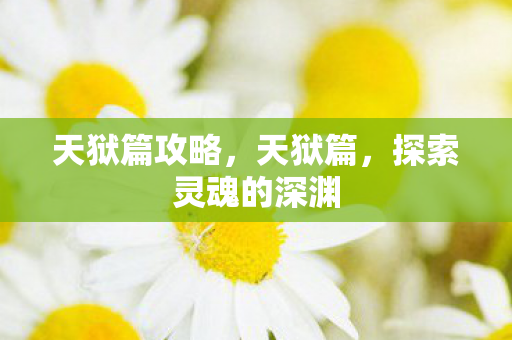 天狱篇攻略，天狱篇，探索灵魂的深渊