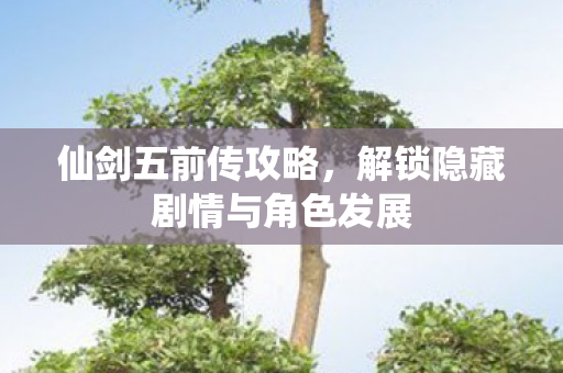 仙剑五前传攻略，解锁隐藏剧情与角色发展