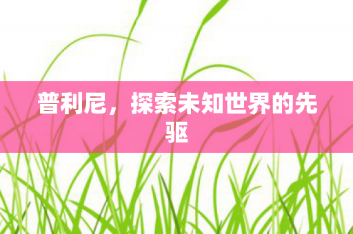 普利尼，探索未知世界的先驱