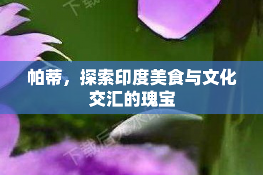 帕蒂，探索印度美食与文化交汇的瑰宝