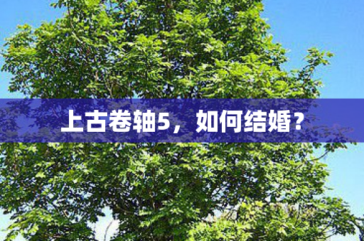 上古卷轴5，如何结婚？