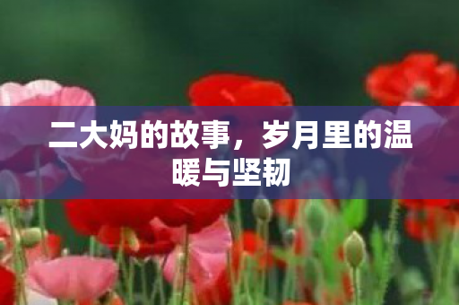 二大妈的故事,岁月里的温暖与坚韧 二大妈的故事,岁月里的温暖与坚韧