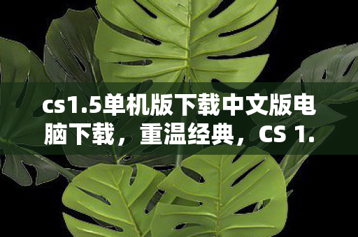 cs1.5单机版下载中文版电脑下载,重温经典,CS 1.5单机版下载与体验指南 cs1.5单机版下载中文版电脑下载,重温经典,CS 1.5单机版下载与体验指南