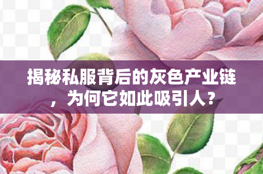 揭秘私服背后的灰色产业链，为何它如此吸引人？