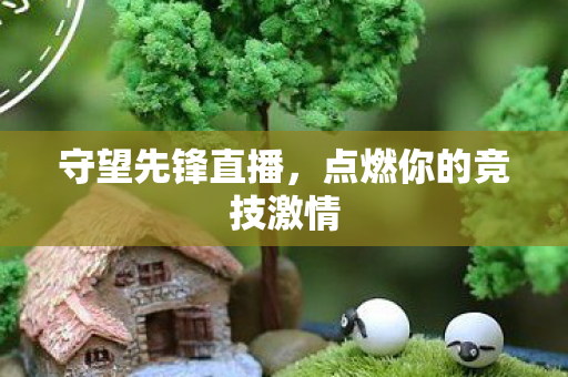 守望先锋直播，点燃你的竞技激情