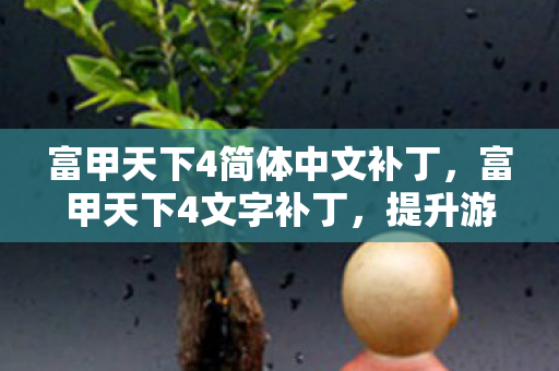 富甲天下4简体中文补丁图片