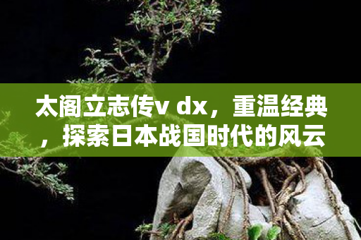 太阁立志传v dx，重温经典，探索日本战国时代的风云变幻