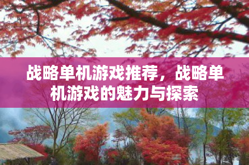 战略单机游戏推荐，战略单机游戏的魅力与探索
