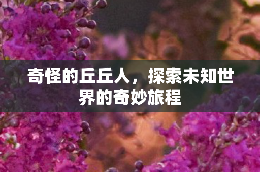 奇怪的丘丘人,探索未知世界的奇妙旅程 奇怪的丘丘人,探索未知世界的奇妙旅程