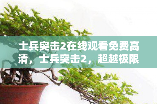士兵突击2在线观看免费高清，士兵突击2，超越极限的军事传奇