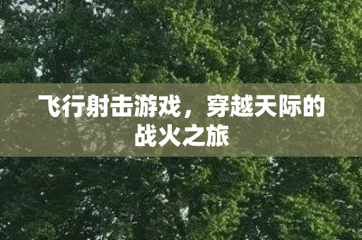飞行射击游戏，穿越天际的战火之旅