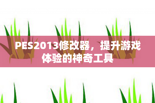PES2013修改器，提升游戏体验的神奇工具