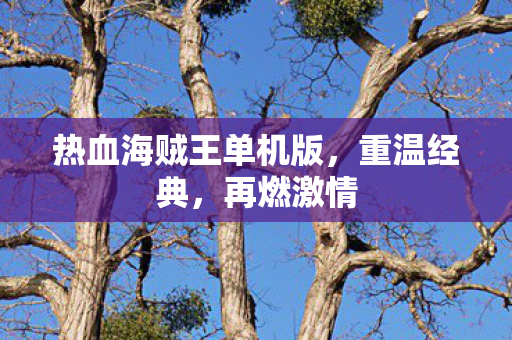 热血海贼王单机版，重温经典，再燃激情