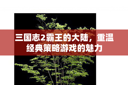 三国志2霸王的大陆,重温经典策略游戏的魅力 三国志2霸王的大陆,重温经典策略游戏的魅力