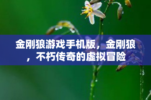 金刚狼游戏手机版，金刚狼，不朽传奇的虚拟冒险