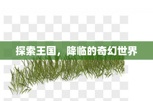 探索王国，降临的奇幻世界