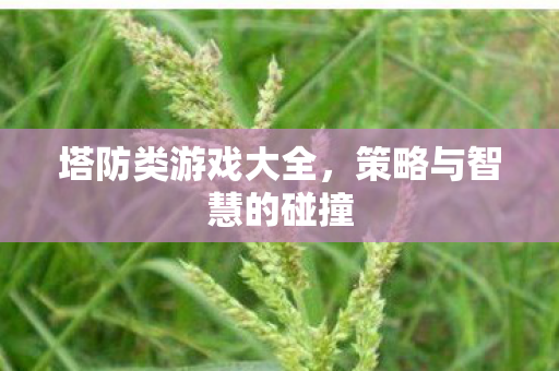 塔防类游戏大全,策略与智慧的碰撞 塔防类游戏大全,策略与智慧的碰撞
