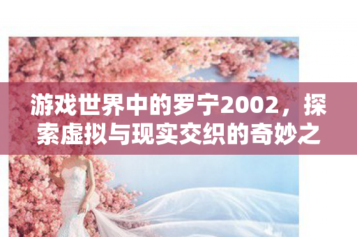 游戏世界中的罗宁2002，探索虚拟与现实交织的奇妙之旅