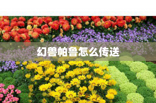 幻兽帕鲁怎么传送