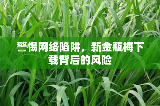 新金瓶梅下载背后的风险图片