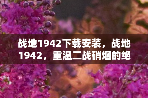 战地1942下载安装，战地1942，重温二战硝烟的绝佳选择