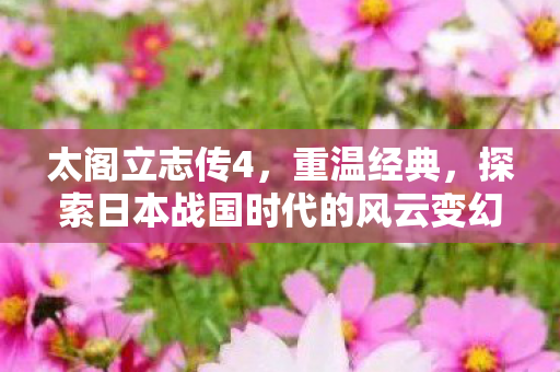 太阁立志传4，重温经典，探索日本战国时代的风云变幻