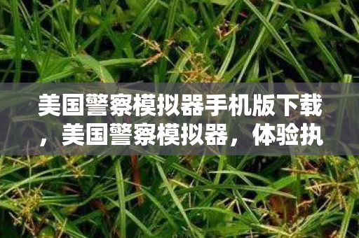 美国警察模拟器手机版下载，美国警察模拟器，体验执法工作的真实与挑战