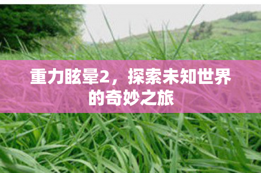 重力眩晕2，探索未知世界的奇妙之旅