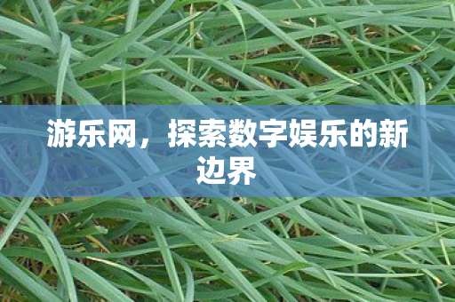 游乐网，探索数字娱乐的新边界
