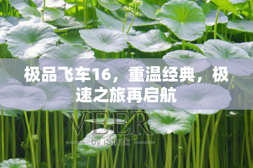 极品飞车16,重温经典,极速之旅再启航 极品飞车16,重温经典,极速之旅再启航