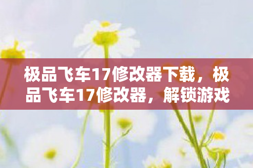 极品飞车17修改器下载，极品飞车17修改器，解锁游戏新体验