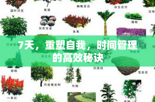 7天，重塑自我，时间管理的高效秘诀